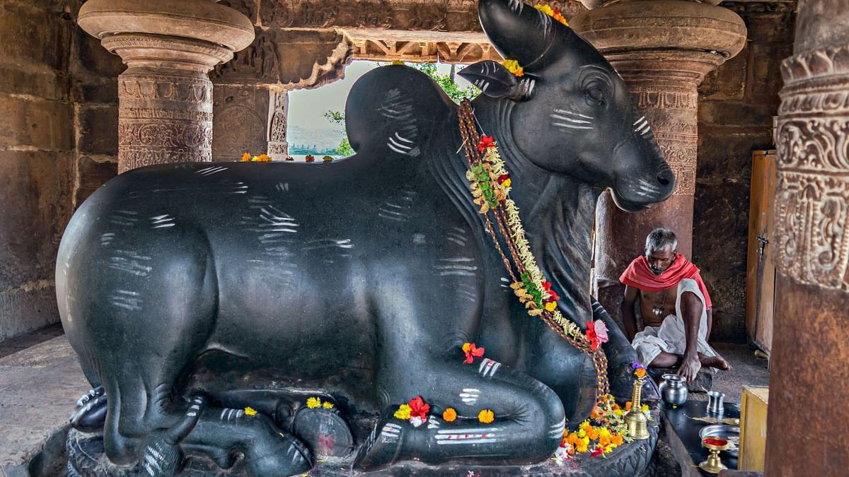 भगवान शंकर, प्रिय वाहन नंदी, क्या है इनकी महिमा, गणों में मुख्य, शिव-मंदिर, शिवलिंग, सामने स्थापित नंदी, Lord Shankar, favorite vehicle Nandi, what is his glory, chief among the Ganas, Shiva temple, Shivling, Nandi installed in front,