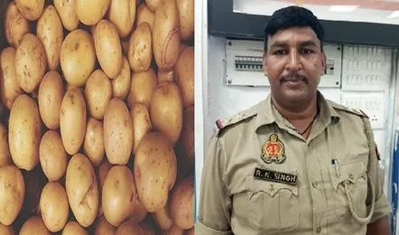 जरा हटके, पुलिस कर्मी, रिश्वत, मांगे पांच किलो आलू, वायरल हुआ ऑडियो, ऑडियो सोशल मीडिया, अपर पुलिस अधीक्षक, प्रभारी उपनिरीक्षक रामकृपाल, Something different, police personnel, bribe, asked for five kilos of potatoes, audio went viral, audio social media, Additional Superintendent of Police, in-charge sub-inspector Ramkripal,