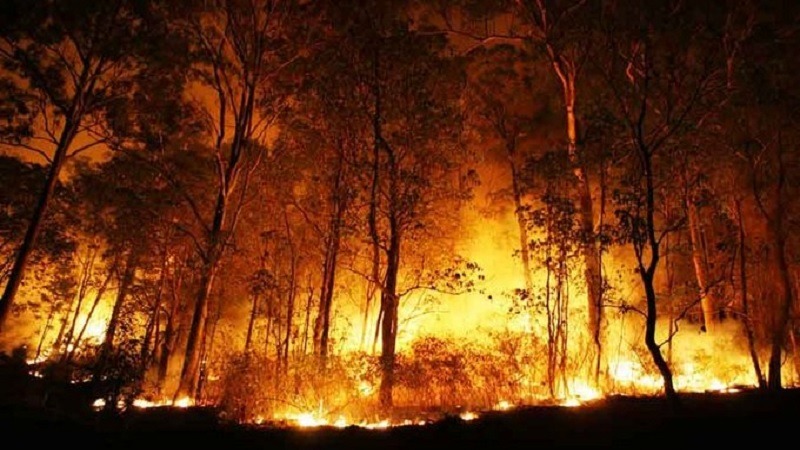 फायर फाइटर, दमकलकर्मी, प्यार, फ्लर्ट, अजीबोगरीब घटना, अजीबोगरीब शौक, त्रिपोली शहर, firefighter, fireman, love, flirt, strange incident, strange hobby, tripoli city,