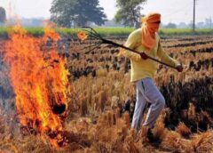 फसल अवशेष, कड़ी कार्रवाई, उत्तर प्रदेश, कुशीनगर जिला प्रशासन, वायु प्रदूषण, उप कृषि निदेशक आशीष कुमार, Crop residue, strict action, Uttar Pradesh, Kushinagar district administration, air pollution, Deputy Agriculture Director Ashish Kumar,